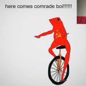 Meet your Posher, Senyong